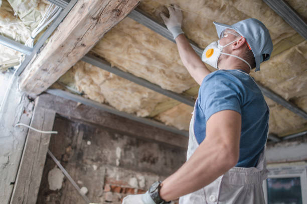 Best Insulation Maintenance and Repair in Gloster, MS